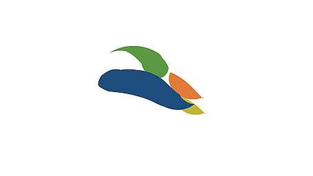 Logo Animation for BCRC-Caribbean